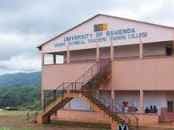 Université de Bamenda. Des tirs autour du campus