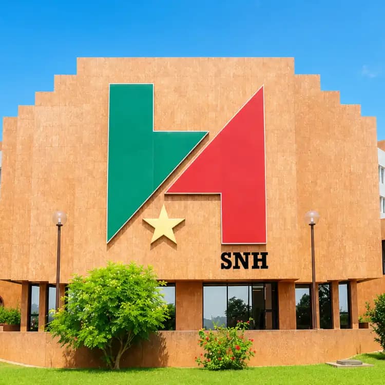 - Pétrole camerounais : les comptes secrets de la SNH