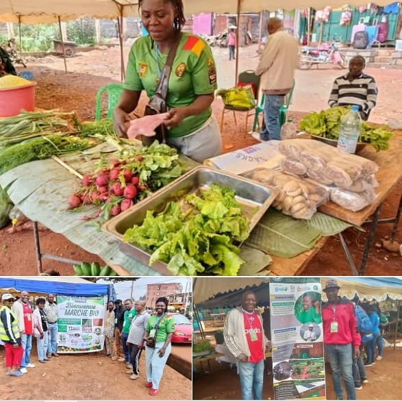 - Le CFPA participe au tout premier marché bio de la ville de Bangangté