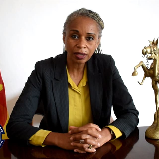 - Recensement au Cameroun : l’UDC doute des chiffres