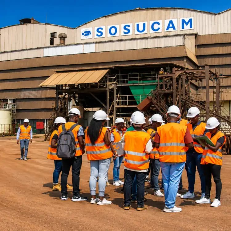 - SOSUCAM : au-delà de la polémique, le vrai défi du Cameroun