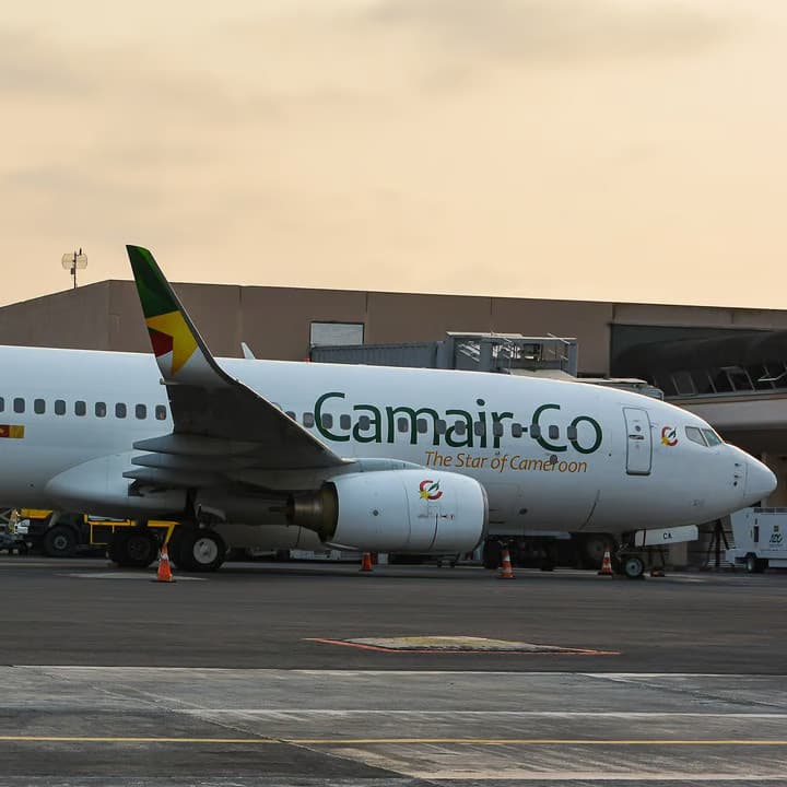 - Camair-Co : Ethiopian Airlines réussit, pas nous