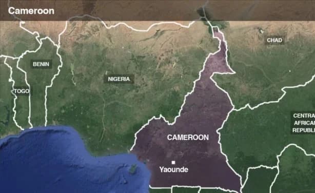 18 children rescued from captivity in Cameroon