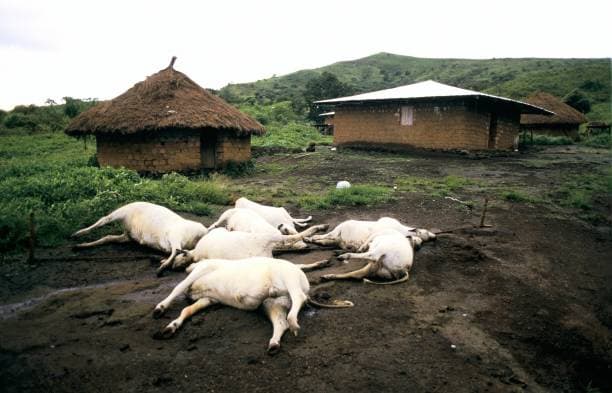 40 Years After Lake Nyos Disaster, Survivors Still Struggle to Rebuild Their Lives