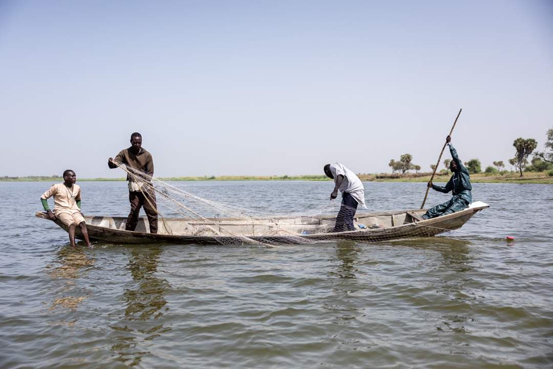 ANALYSIS | ISWAP’s next frontier: Darak in northern Cameroon | News24