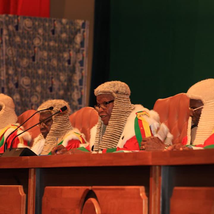 Conseil constitutionnel camerounais : incompétence ou complaisance ?