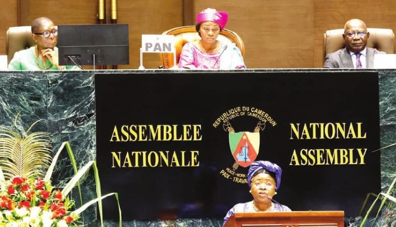 Assemblée nationale : TikTok, VBG et Camerounais à l’étranger au menu