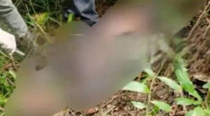 Bertoua : un colonel à la retraite retrouvé mort et mutilé dans son champ