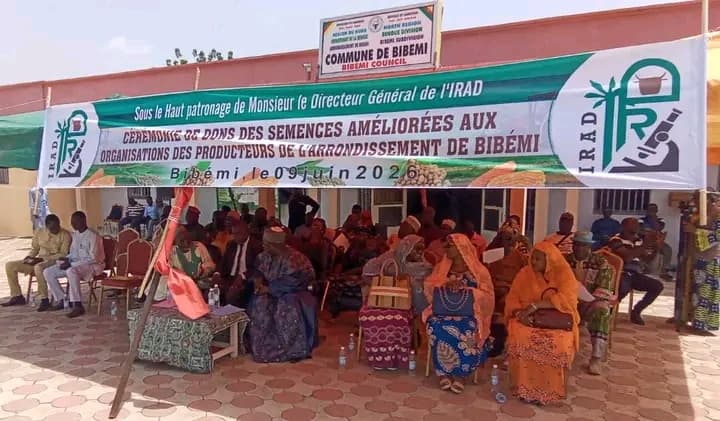 Bibémi : l’IRAD distribue 9 tonnes de semences améliorées pour renforcer la production agricole