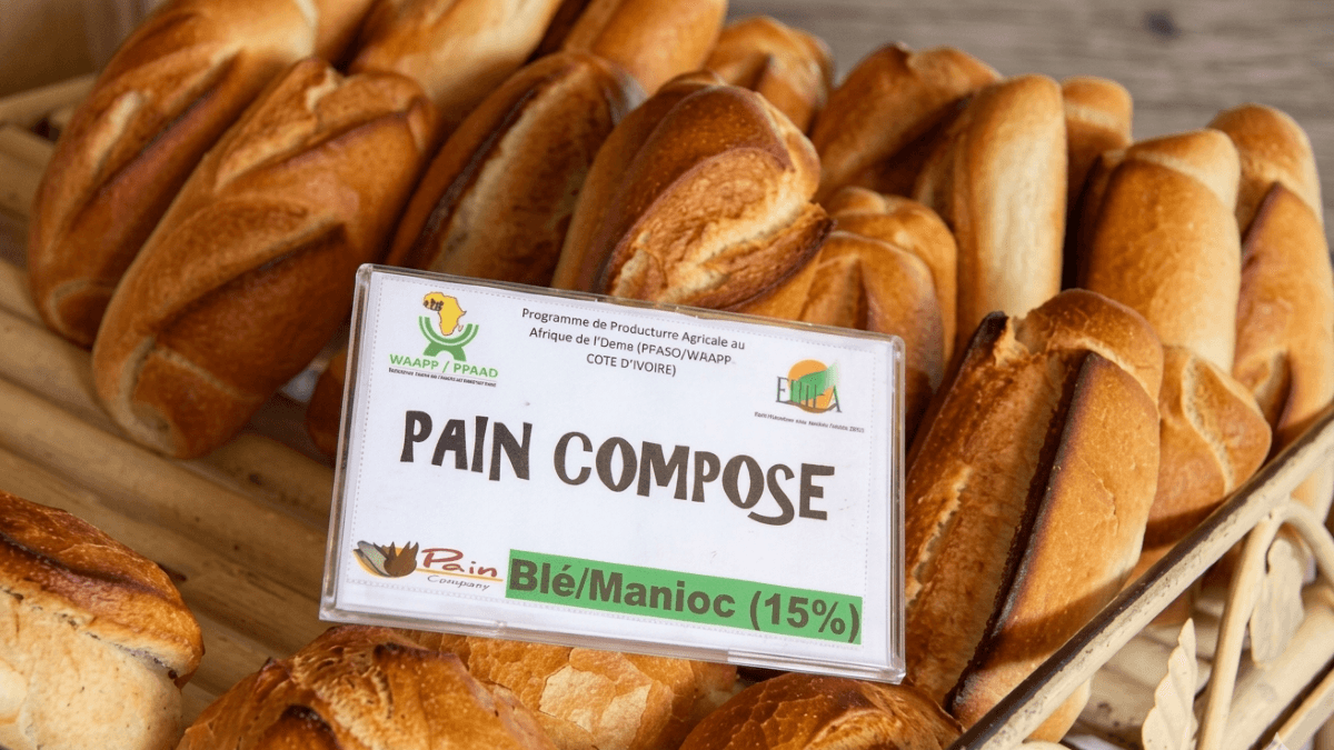 Boulangerie : pourquoi le Cameroun peine à imposer son quota de 15% de farine locale