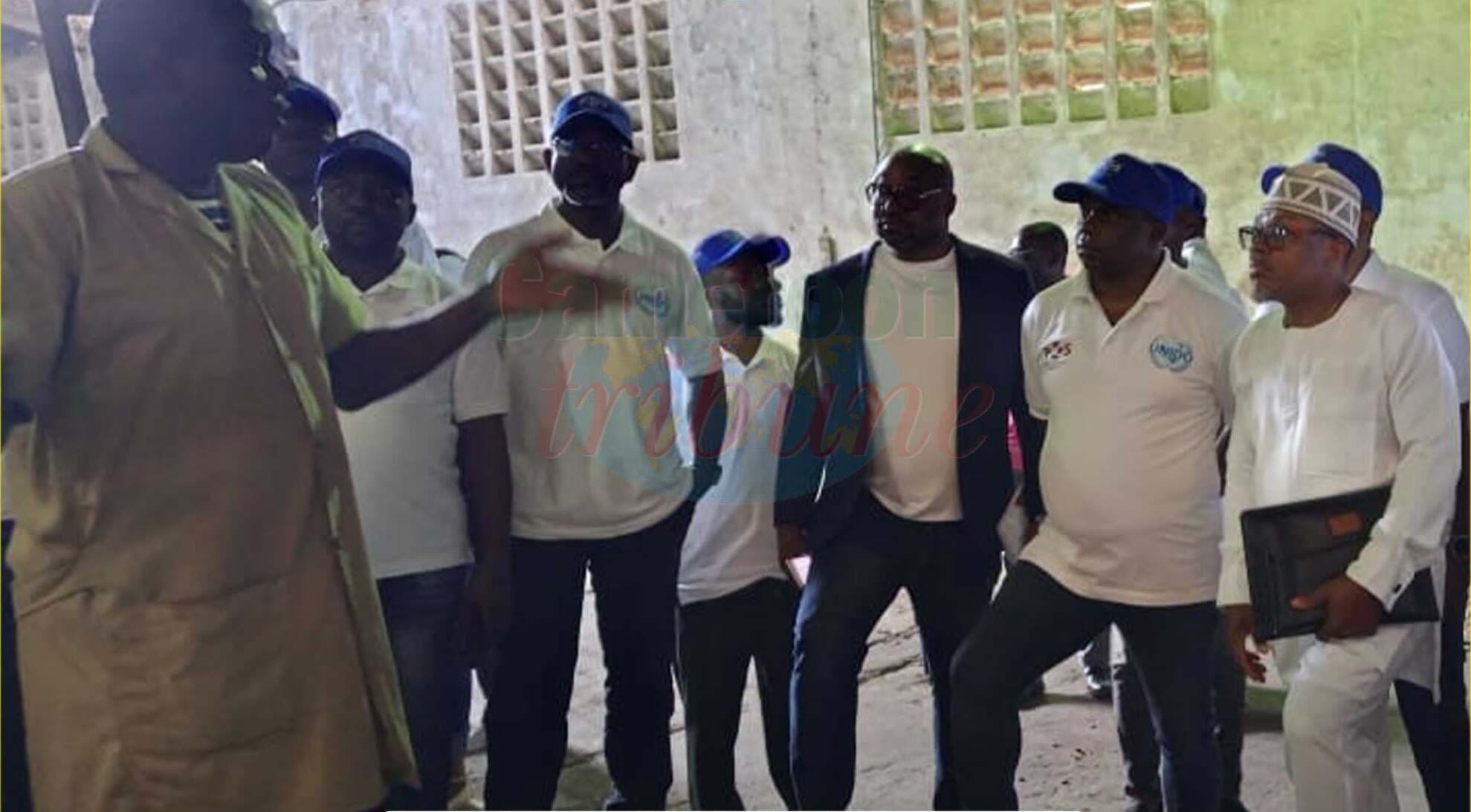 Cacao camerounais : 35 vérificateurs formés pour renforcer la qualité des exportations