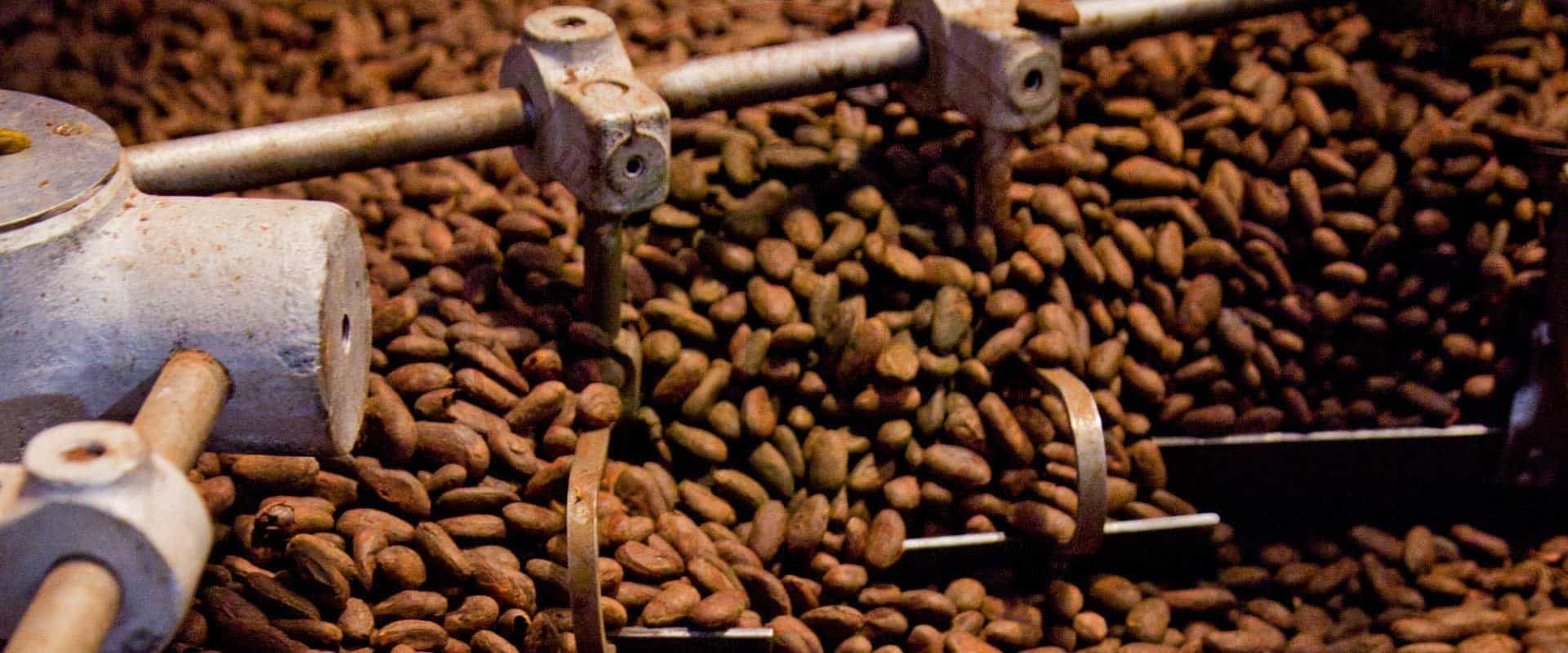 Cacao: le RDUE pousse le Cameroun à s’adapter