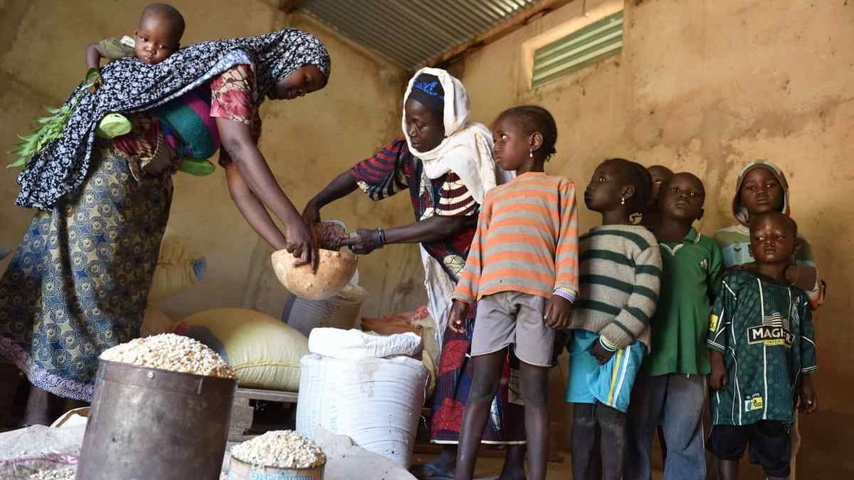 Cameroun : 15 % de la population menacée par l'insécurité alimentaire aiguë (INS)