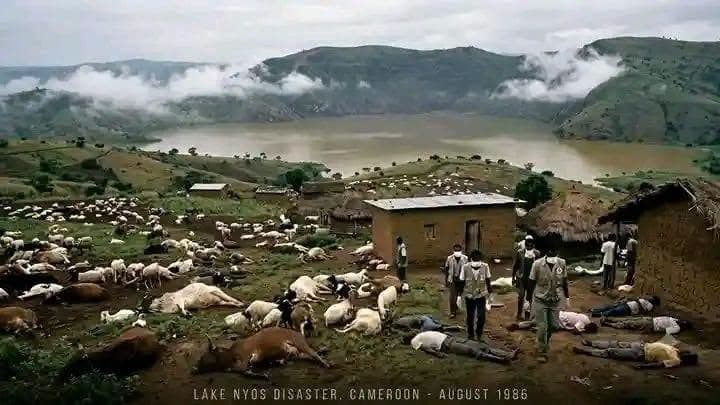 Cameroun : il y a 40 ans, la tragédie du lac Nyos faisait 1 746 morts