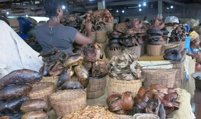 Cameroun : le formol et les raticides vendus au marché comme du sel