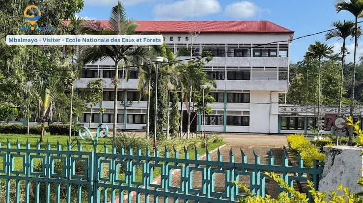Cameroun : le Nyong et So’o tient des assises stratégiques pour polir l’environnement éducatif