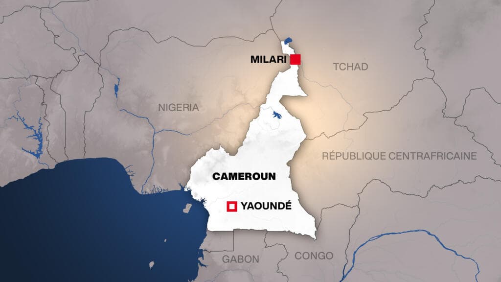 Cameroun: neuf civils tués dans une attaque attribuée à Boko Haram dans l’Extrême-Nord