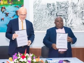 Afrique centrale : 3,3 milliards FCFA pour renforcer les compétences dans la filière forêt-bois