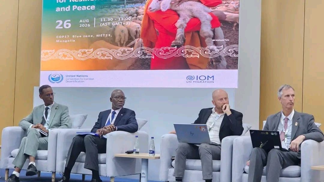 COP17 – Journée Terre et Peuples : l’ONU plaide pour un pastoralisme moteur de résilience et de paix