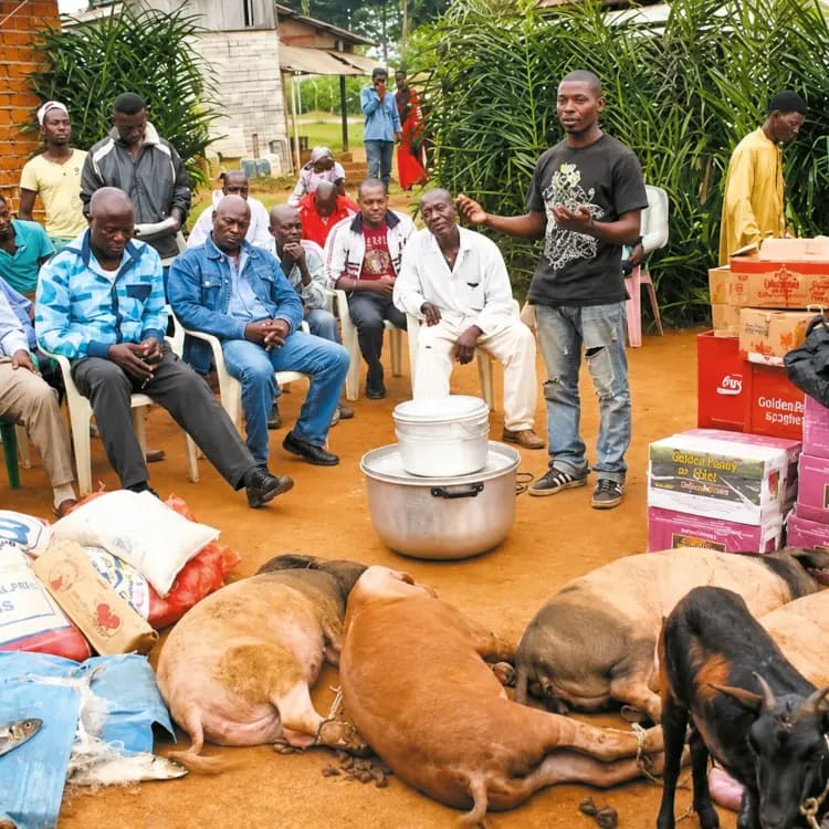 Douala : la tante tente de substituer sa fille à la nièce le jour du « toquer porte »