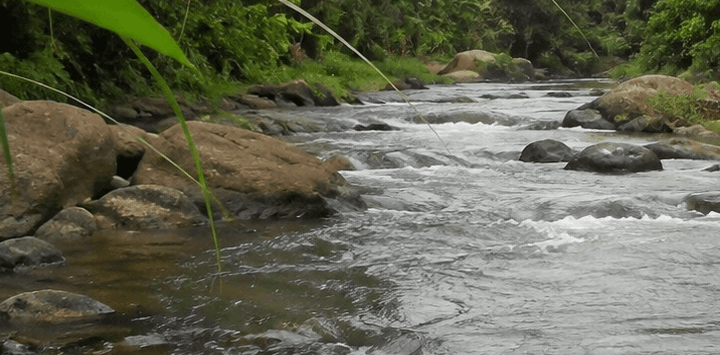 Douala : un homme âgé retrouvé presque nu dans une rivière