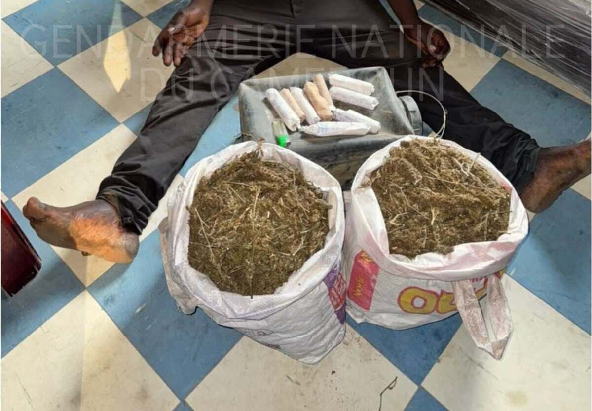 Douala : un présumé guérisseur arrêté avec des sacs de chanvre indien