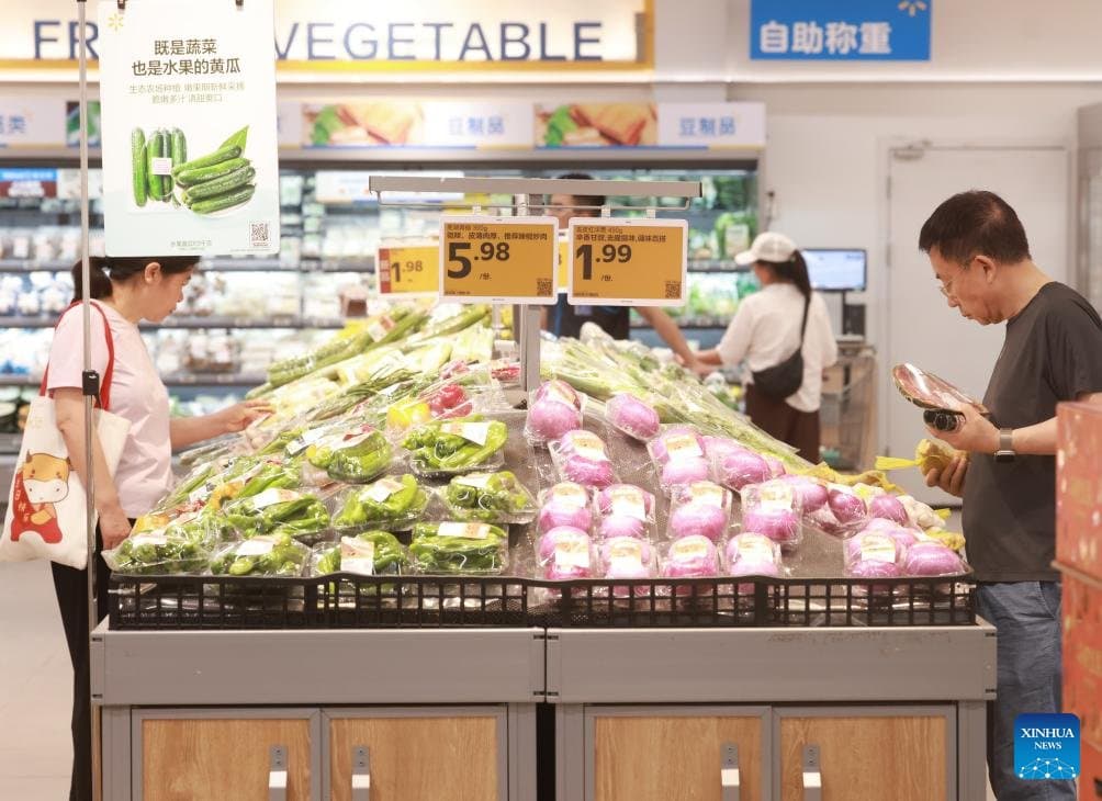 Economic Watch: China’s CPI remains stable, PPI continues to rise in May