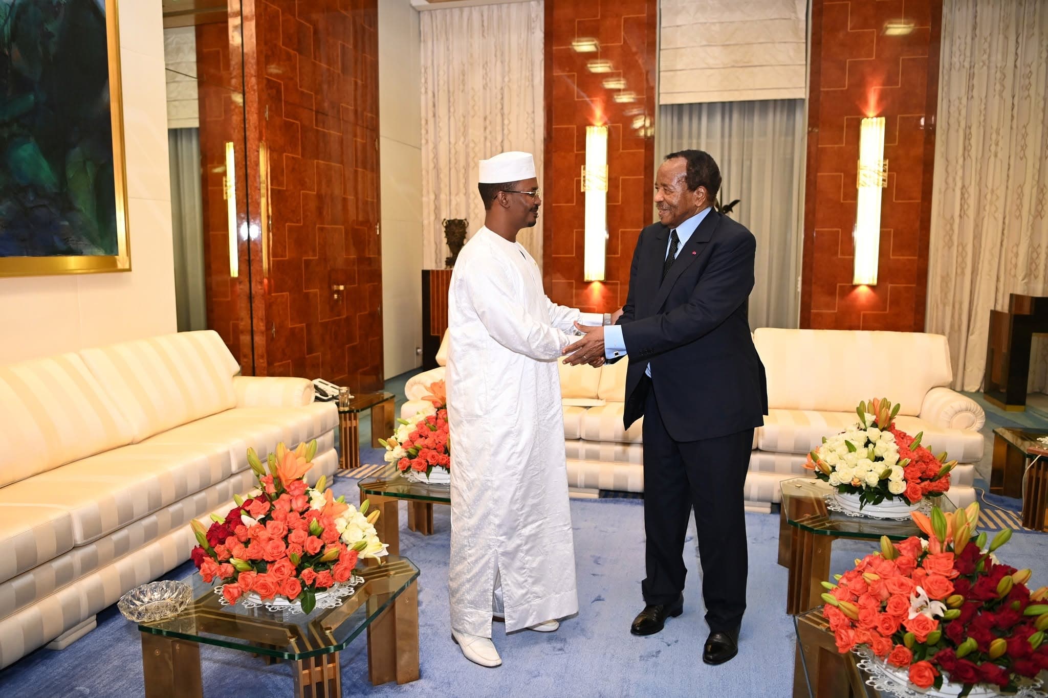 Électricité : le Tchad enclenche le processus pour se connecter au réseau camerounais