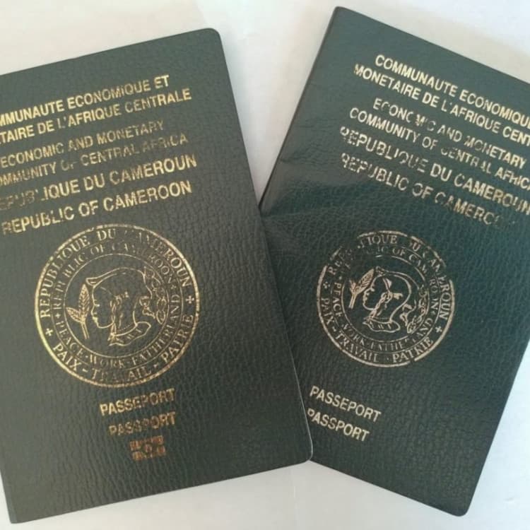 Exode camerounais : pourquoi fuir n'est plus une option