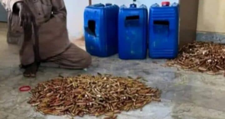 Extrême-Nord : un homme interpellé avec 700 000 munitions dissimulées dans des bidons