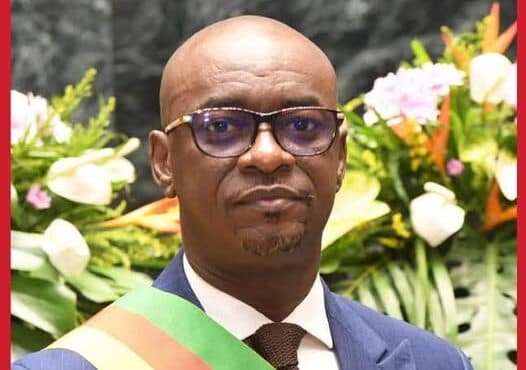 Féminicides au Cameroun : Cabral Libii réclame une répression plus sévère