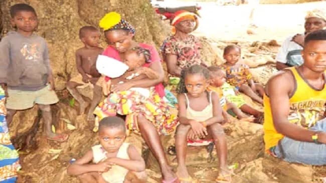 Food insecurity threatens 2.6 million Cameroonians outside conflict zones