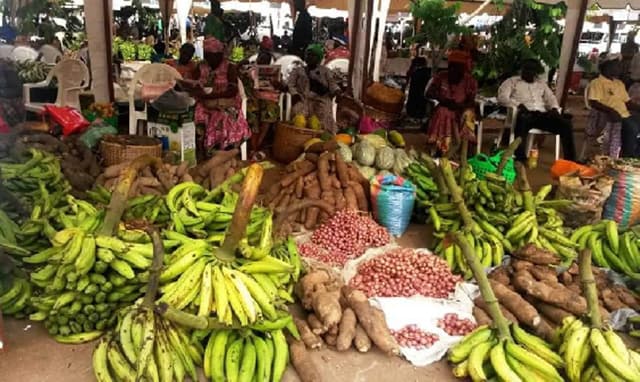 Formol sur les aliments : le danger sanitaire qui passe la frontière camerounaise | Gabonreview.com | Actualité du Gabon |