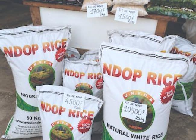 Gov’t upgrades Ndop rice facilities to support import substitution