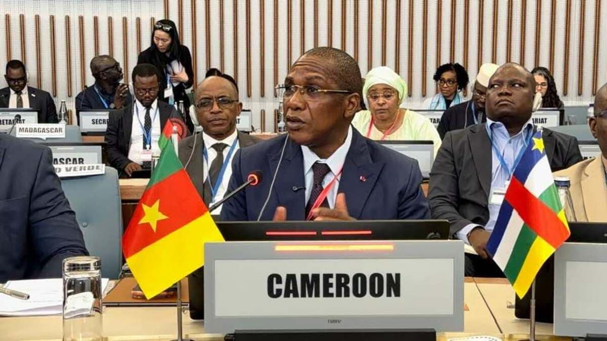 Industrie pharmaceutique : le Cameroun passe de 7 à 19 unités de production en six ans