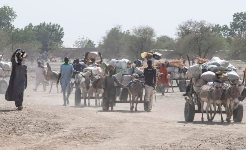 ISWAP's Next Frontier - Darak in Northern Cameroon