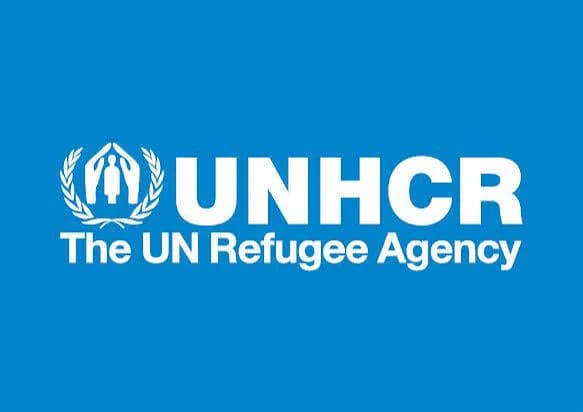Lake Chad crisis nears dangerous tipping point, UNHCR warns