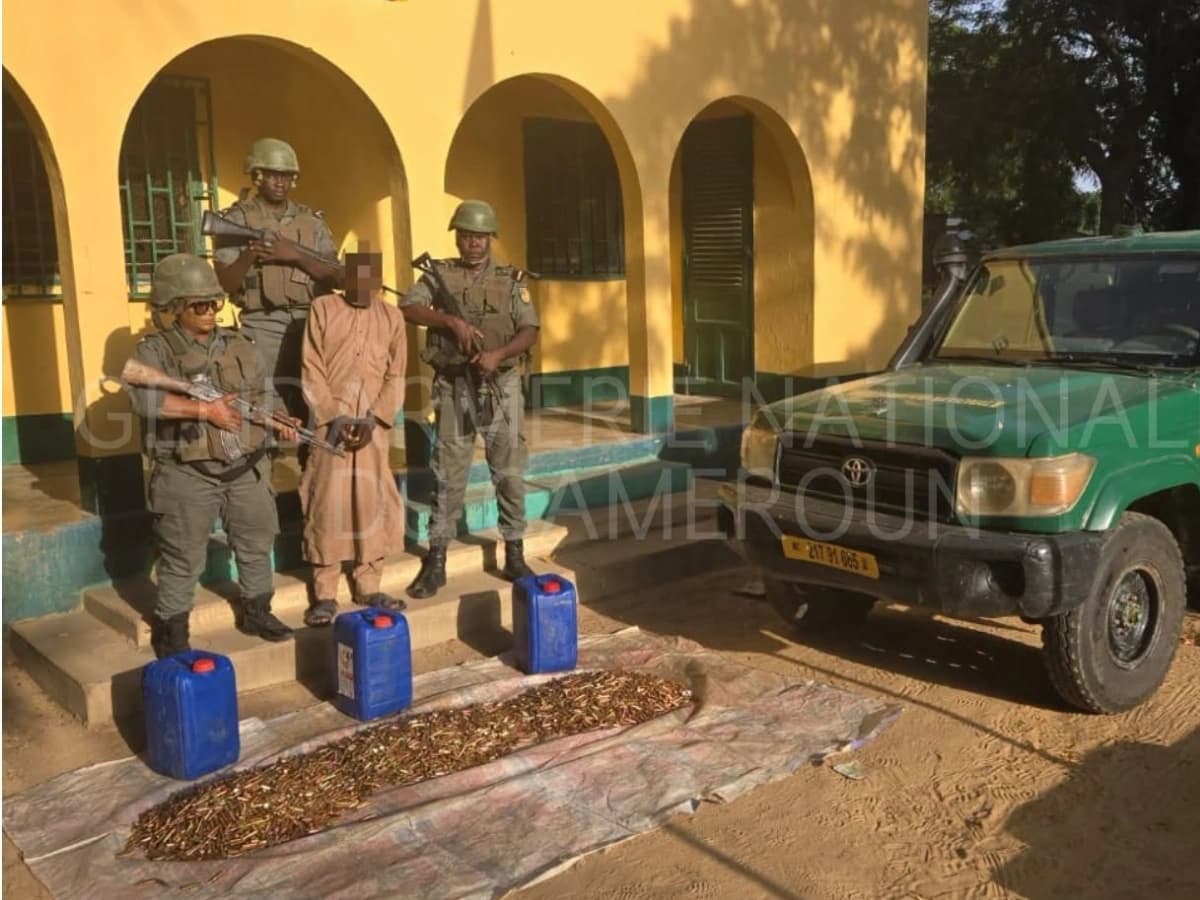 Logone et Chari : un présumé ravitailleur de Boko Haram interpellé avec 7 412 munitions