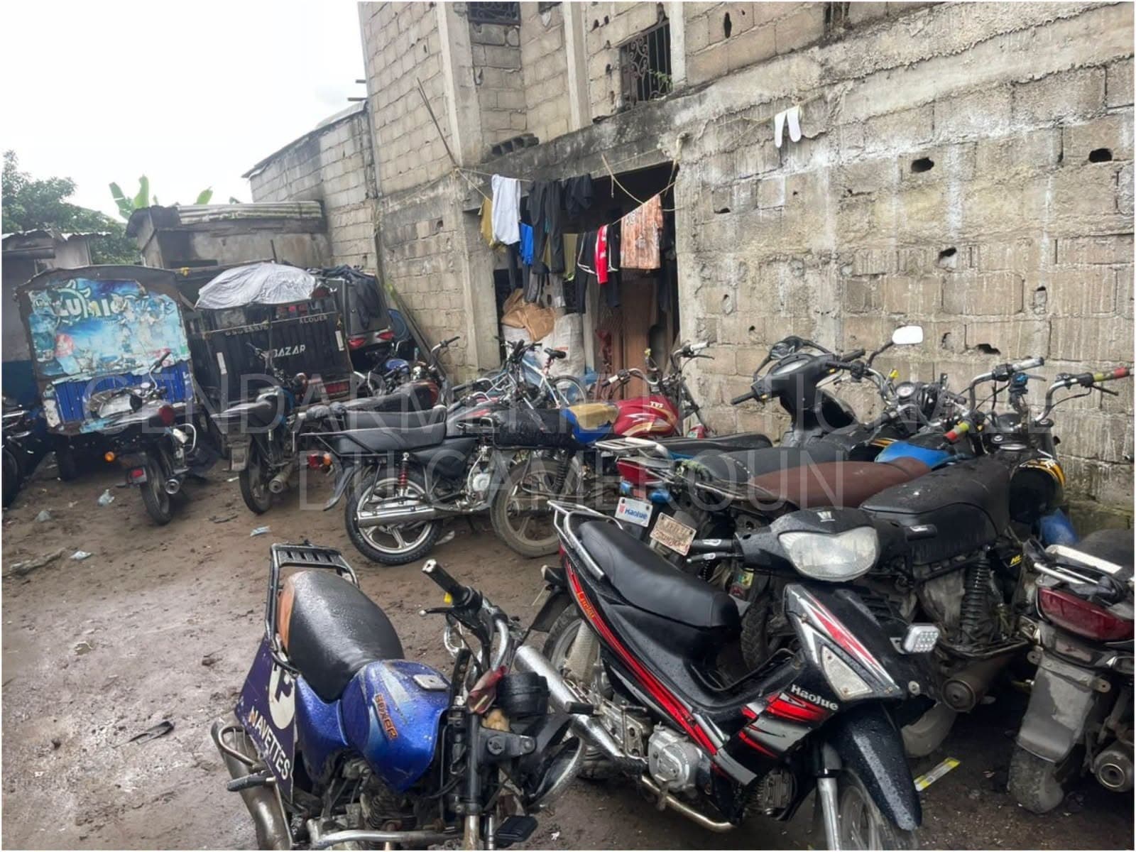 Lutte contre le grand banditisme et la criminalité : 13 suspects interpellés à Douala