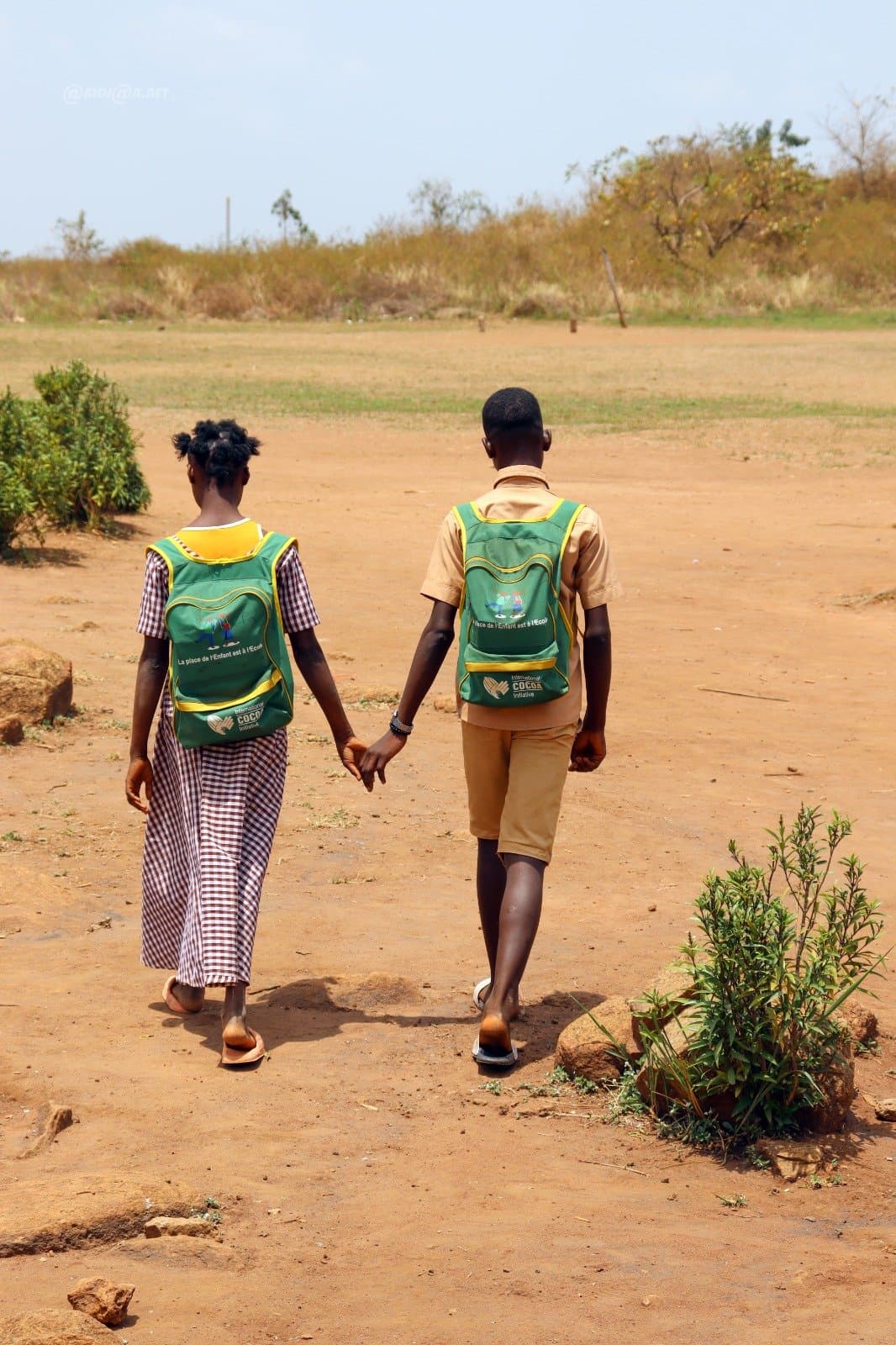 Lutte contre le travail des enfants : 1,68 million d’enfants accompagnés dans les communautés cacaoyères en 2025 - Abidjan.net News