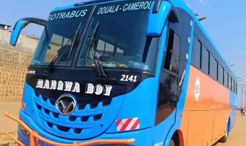 Mangwa Boy suspendue : la compagnie qui inquiète après 16 morts