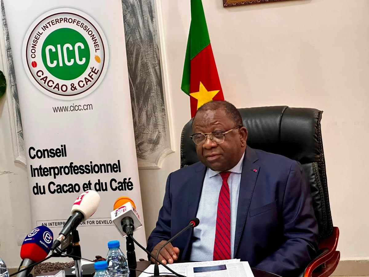 Marché européen : le Cameroun veut sécuriser son cacao face au règlement européen sur la déforestation