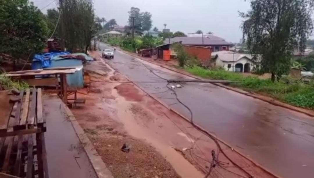 Nature Joins Ghost Town as Fallen Utility Pole Seals Off Bamenda