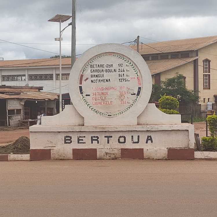 Pourquoi la région de l'Est du Cameroun intéresse les grandes puissances
