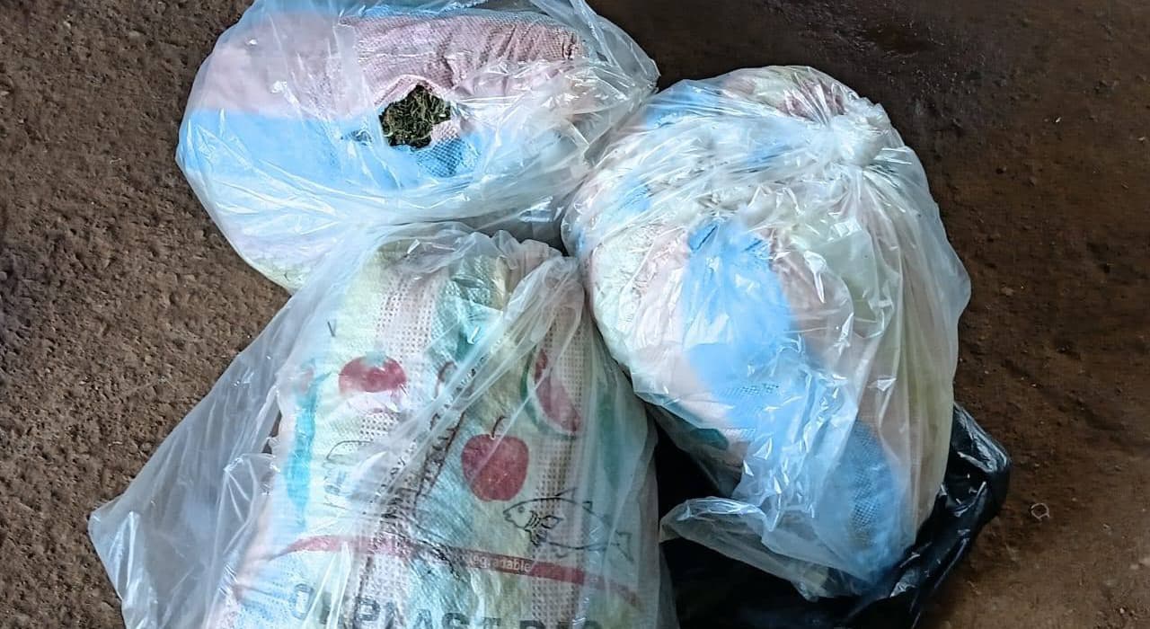 Région de l’Ouest: 200 kilogrammes de chanvre indien saisis