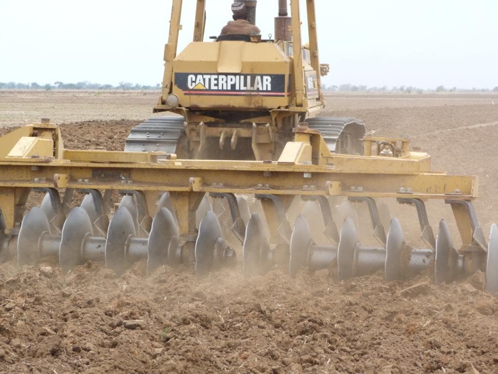 Riz Paddy : la Semry prévoit 6 milliards FCFA d’investissements pour accélérer sa production