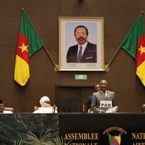 Secteur minier. Le parlement veut y voir clair