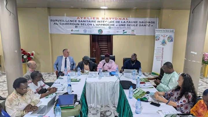 Surveillance sanitaire de la faune sauvage : le Cameroun affine sa stratégie face aux risques zoonotiques