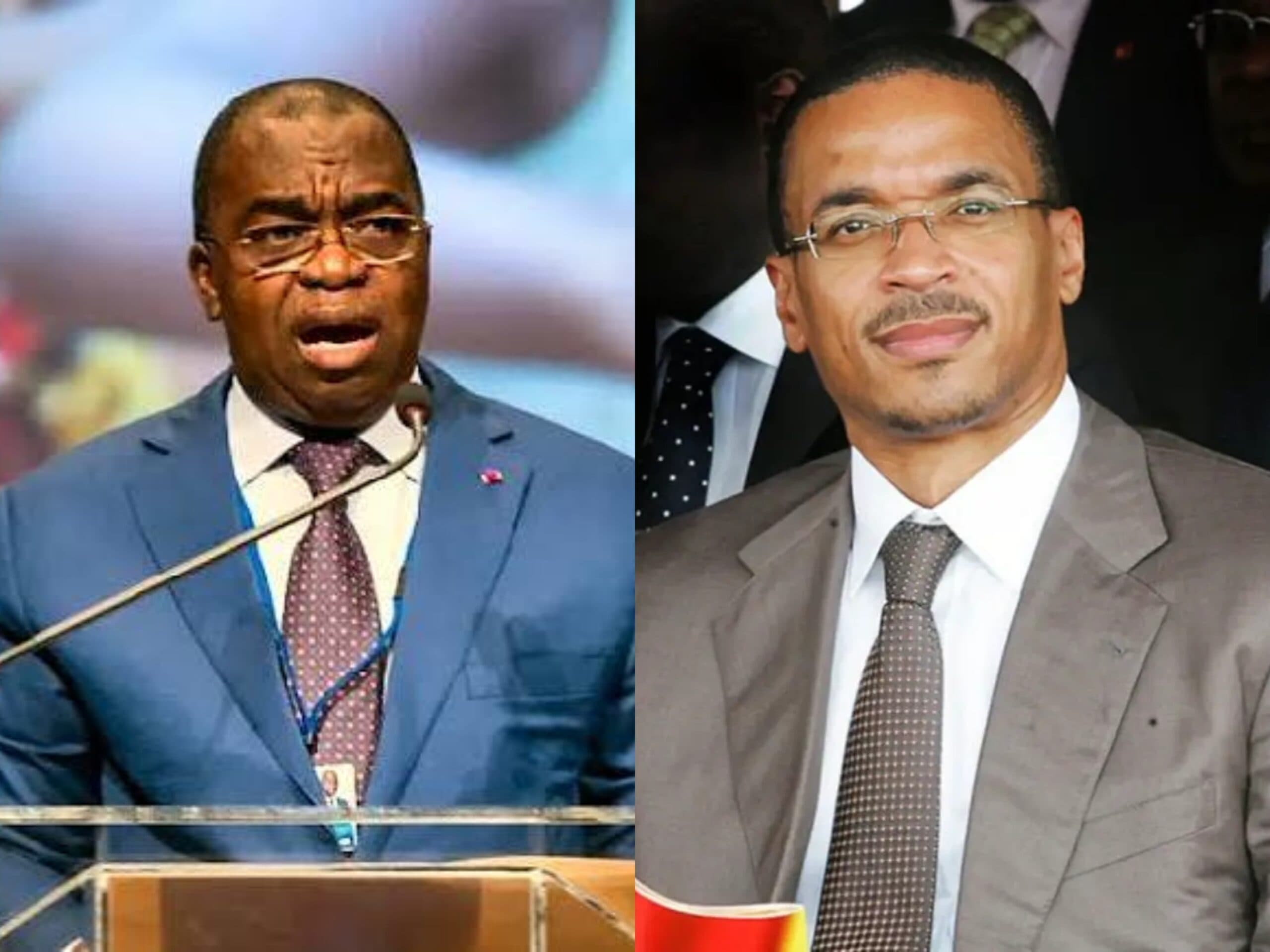 Vice-présidence du Cameroun : les deux fils du président Paul Biya en course ?