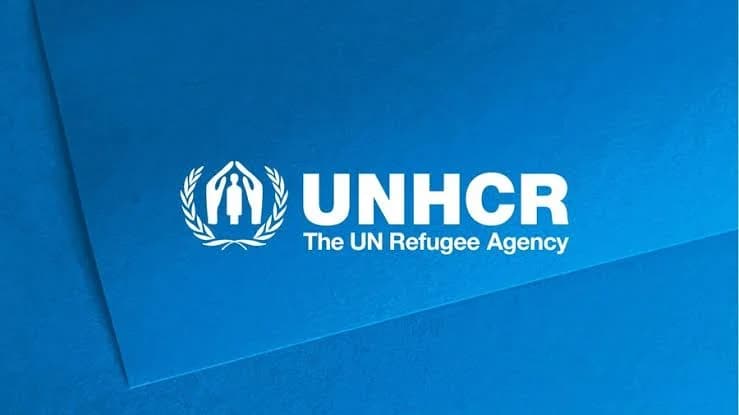 Violence displaces 3.5 million across Lake Chad Basin – UNHCR